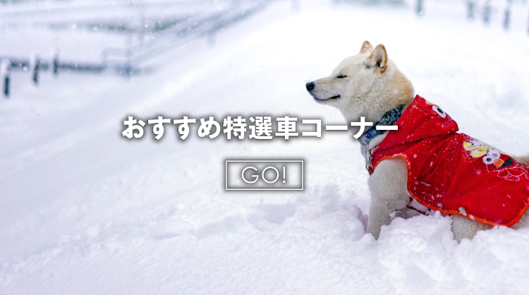 リニューアルキャンペーン