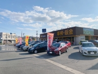 普通車専門店 ビックカードーム タンポポ