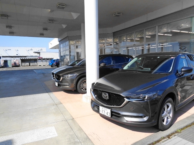 新潟マツダ自動車 亀田店 中古車のオークネット Jp 新潟マツダ自動車 亀田店 中古車のオークネット Jp